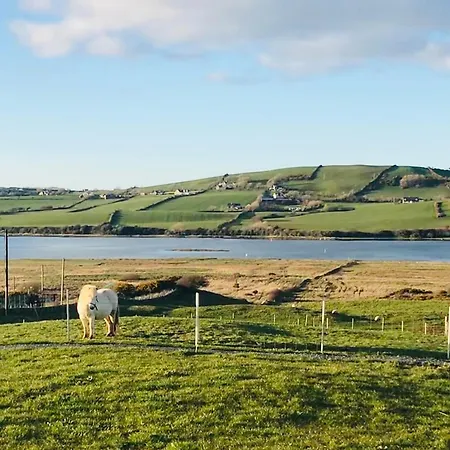The Snuggly Sheep Shepherd Hut & Sauna Farm