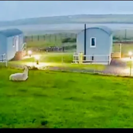 The Snuggly Sheep Shepherd Hut Campview Farm Ballyshannon