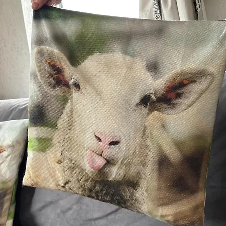 The Snuggly Sheep Shepherd Hut & Sauna Farm Διαμέρισμα