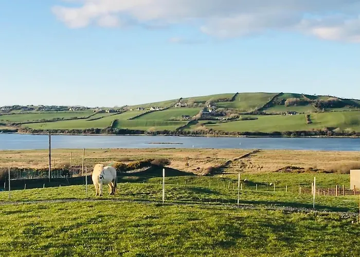 The Snuggly Sheep Shepherd Hut Campview Farm
