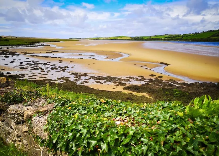 The Snuggly Sheep Shepherd Hut Campview Farm 公寓 巴利香农