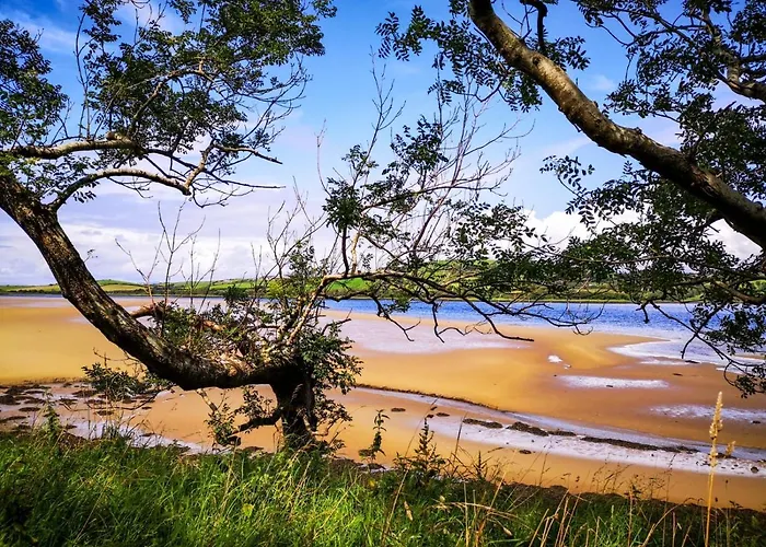 公寓 The Snuggly Sheep Shepherd Hut Campview Farm *