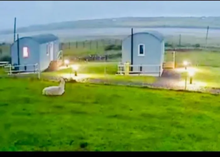 The Snuggly Sheep Shepherd Hut Campview Farm 巴利香农